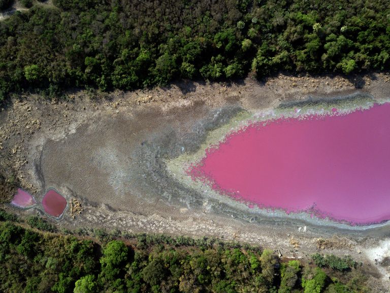 Пурпурная вода в лагуне из-за отходов кожевенной компании в Лимпио Пурпурная вода в лагуне из-за отходов кожевенной компании в Лимпио