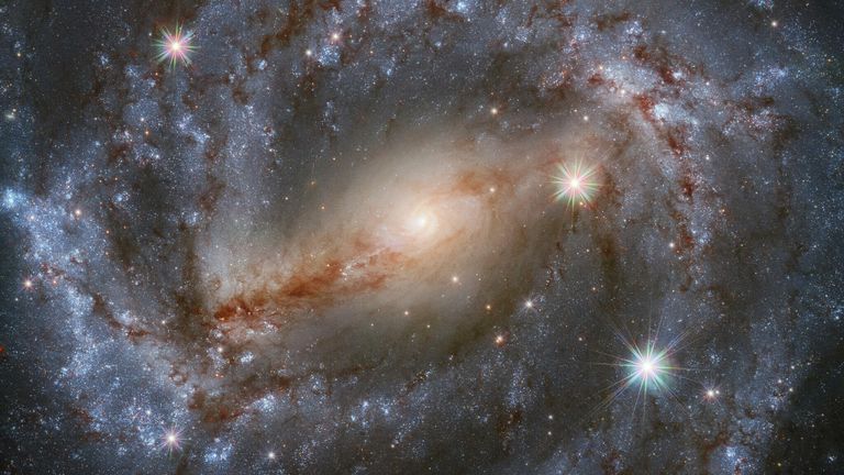 Спиральная галактика NGC 5643 с перемычкой (SBc) в созвездии Волка