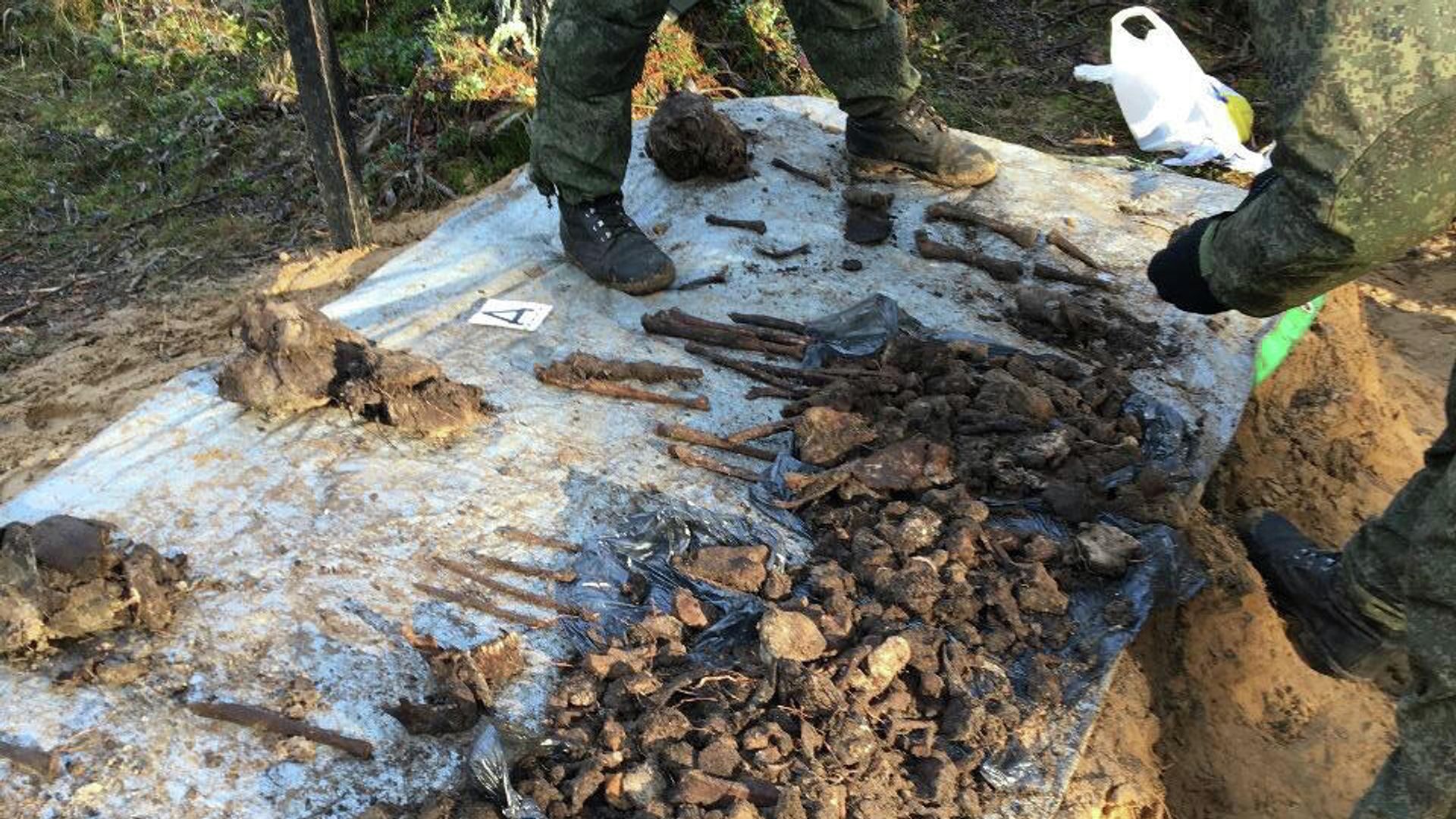 Фрагменты человеческих останков, найденные поисковиками на месте казней мирного населения гитлеровскими карателями возле деревни Глоты Псковской области в годы Великой Отечественной войны Фрагменты человеческих останков, найденные поисковиками на месте казней мирного населения гитлеровскими карателями возле деревни Глоты Псковской области в годы Великой Отечественной войны - РИА Новости, 1920, 30.10.2020