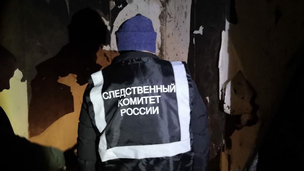 Пожар в деревне Ложкари Юрьянского района Кировской области Пожар в деревне Ложкари Юрьянского района Кировской области - РИА Новости, 1920, 30.10.2020