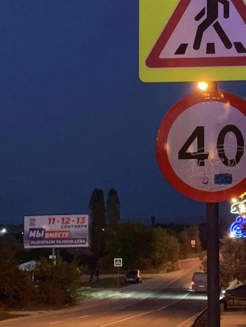 Зебра хорошо видна, знаки на месте Зебра хорошо видна, знаки на месте - РИА Новости, 1920, 05.11.2020
