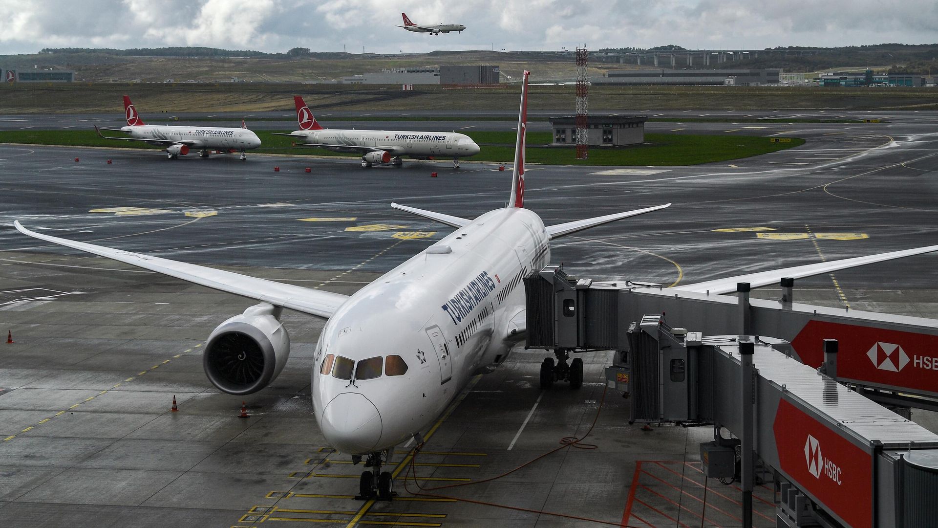 Самолет авиакомпании Turkish Airlines в Международном аэропорту Стамбул - РИА Новости, 1920, 04.02.2023