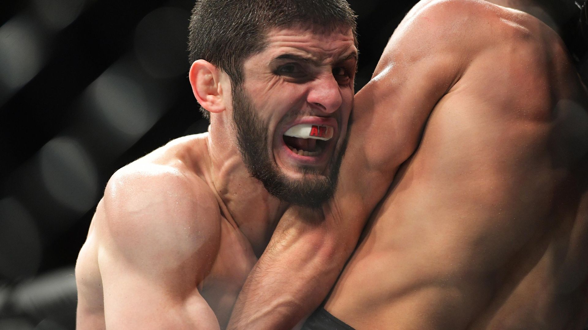 UFC Fight Night в Санкт-Петербурге UFC Fight Night в Санкт-Петербурге - РИА Новости, 1920, 07.03.2021