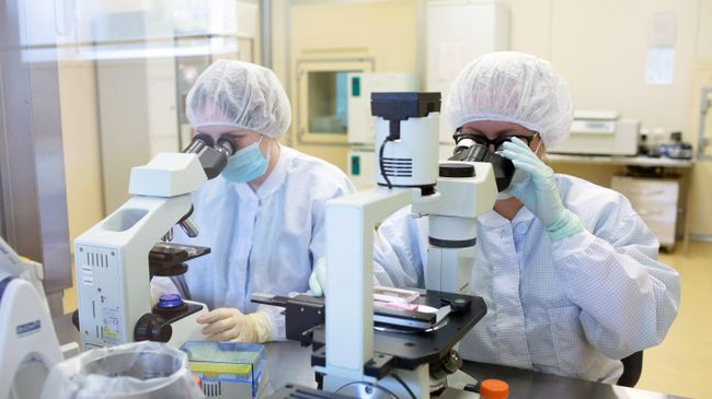 Производство вакцины от COVID-19 на фармацевтическом заводе Биннофарм 