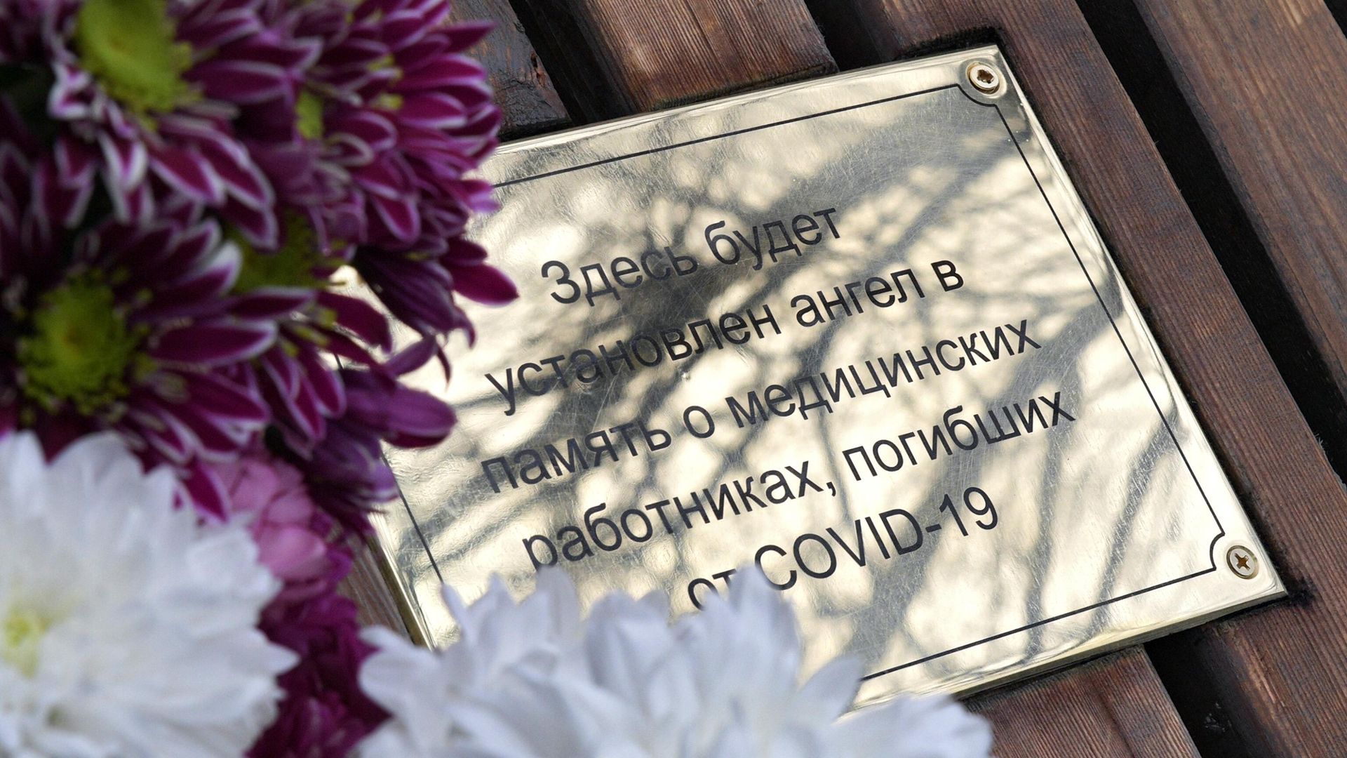Мемориальная табличка напротив здания медицинского университета им. И. П. Павлова на Петроградской стороне в Санкт-Петербурге Мемориальная табличка напротив здания медицинского университета им. И. П. Павлова на Петроградской стороне в Санкт-Петербурге - РИА Новости, 1920, 13.11.2020