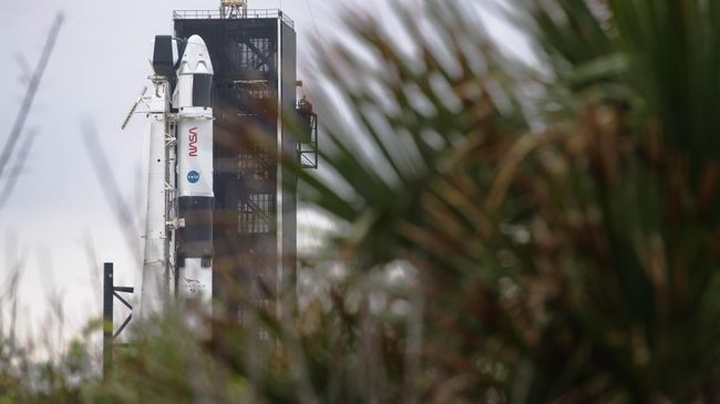 Подготовка к запуску к МКС ракеты Falcon 9 с кораблем Crew Dragon