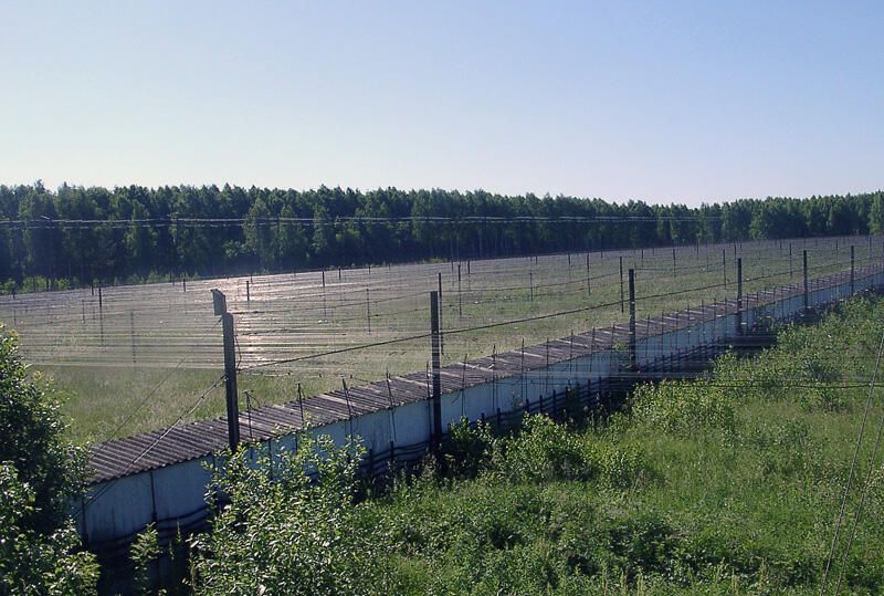 Радиотелескоп БСА Пущинской Обсерватории Радиотелескоп БСА Пущинской Обсерватории - РИА Новости, 1920, 20.11.2020