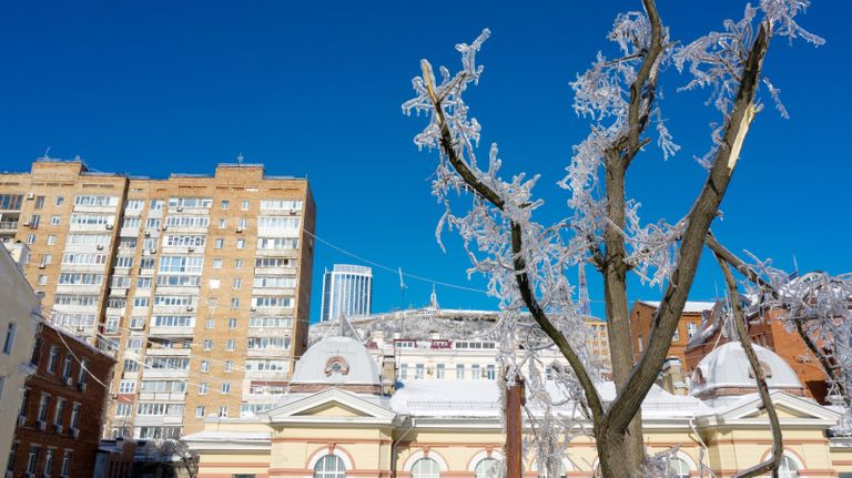 Последствия снежного циклона в Приморье Последствия снежного циклона в Приморье
