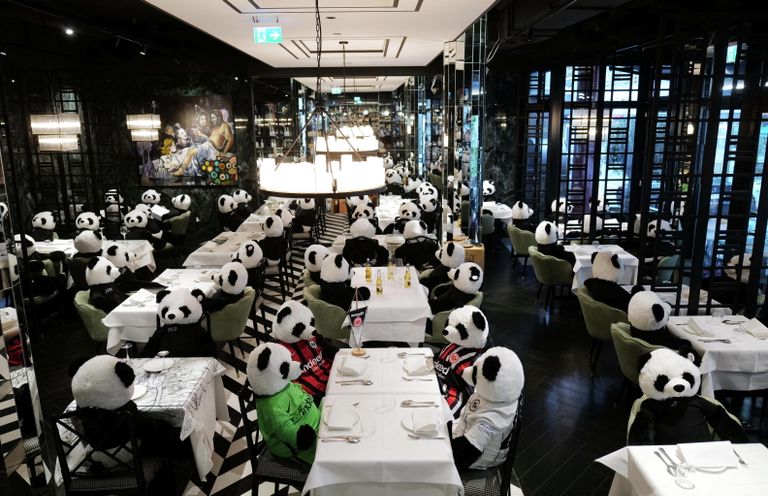 Арт-инсталляция Панда-мия (Panda-mie) в ресторане Франкфурта-на-Майне, призванная привлечь внимание к негативным последствиям локдауна для предприятий общепита Арт-инсталляция Панда-мия (Panda-mie) в ресторане Франкфурта-на-Майне, призванная привлечь внимание к негативным последствиям локдауна для предприятий общепита