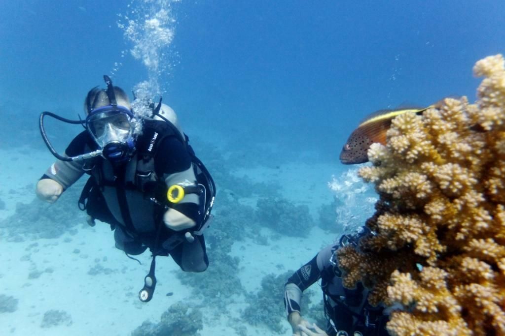 Дмитрий погружается в красное море Дмитрий погружается в красное море - РИА Новости, 1920, 27.11.2020
