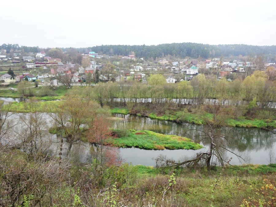 Вид на Протву и бор Вид на Протву и бор