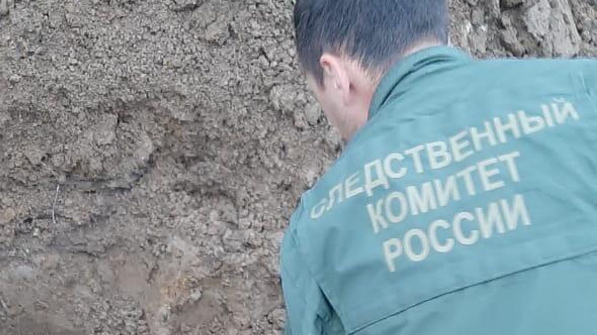 Захоронение мирных граждан, погибших в годы Великой Отечественной войны в деревне Новая Буря Ленинградской области Захоронение мирных граждан, погибших в годы Великой Отечественной войны в деревне Новая Буря Ленинградской области - РИА Новости, 1920, 08.12.2020