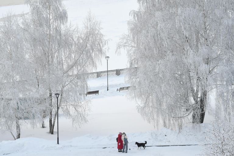 Заснеженные деревья и прохожие на Михайловской набережной в Новосибирске Заснеженные деревья и прохожие на Михайловской набережной в Новосибирске