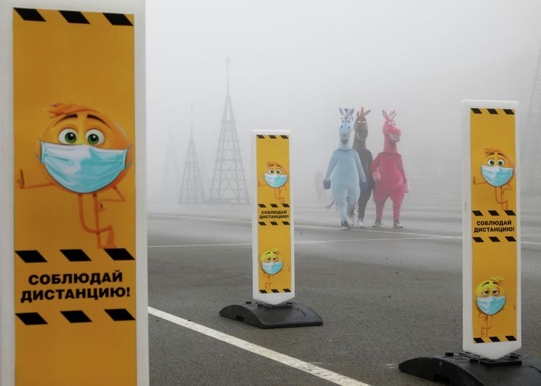 Люди в костюмах зебры в Ставрополе Люди в костюмах зебры в Ставрополе