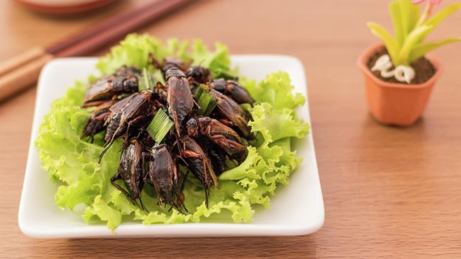 По оценкам Продовольственной и сельскохозяйственной организации Объединенных Наций, употребление насекомых в пищу может решить проблему глобального голода и повысить уровень здоровья по всему миру По оценкам Продовольственной и сельскохозяйственной организации Объединенных Наций, употребление насекомых в пищу может решить проблему глобального голода и повысить уровень здоровья по всему миру