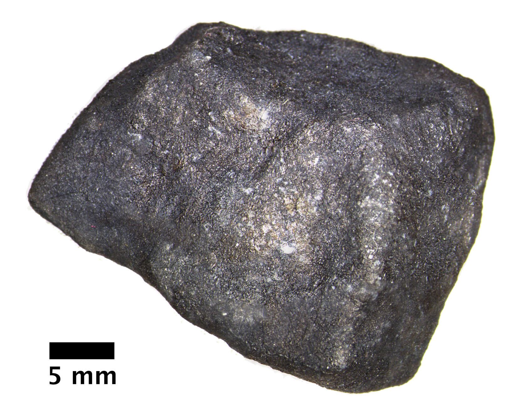 Метеорит Гамбург Метеорит Гамбург - РИА Новости, 1920, 15.12.2020