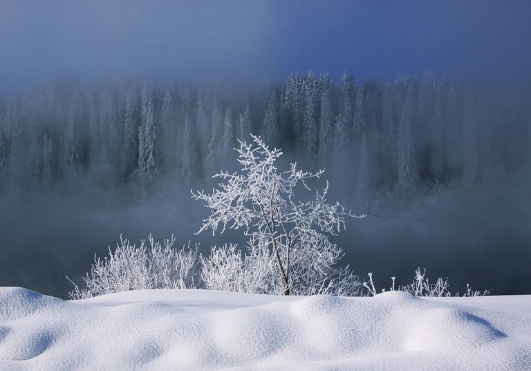 Татьяна Болотова. Зима на реке Яйва. 2019 Татьяна Болотова. Зима на реке Яйва. 2019