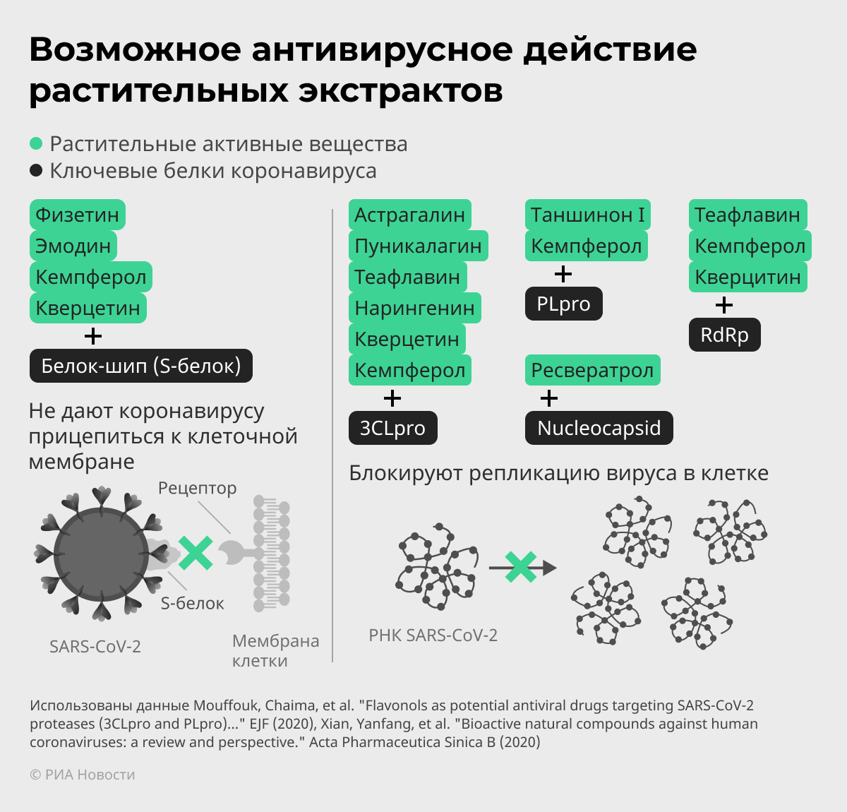 Возможное антивирусное действие растительных экстрактов