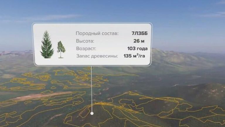 Определение таксационных характеристик леса на основе космических снимков для инвестиционной оценки лесного участка Определение таксационных характеристик леса на основе космических снимков для инвестиционной оценки лесного участка