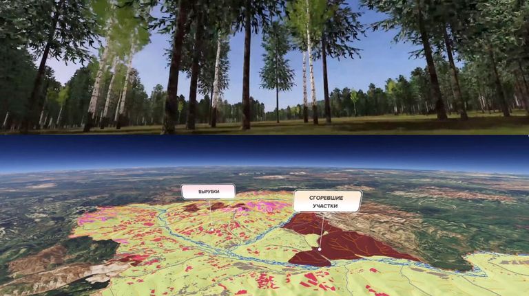 VR-визуализация таксационных характеристик леса на основе космических снимков для инвестиционной оценки лесного участка VR-визуализация таксационных характеристик леса на основе космических снимков для инвестиционной оценки лесного участка