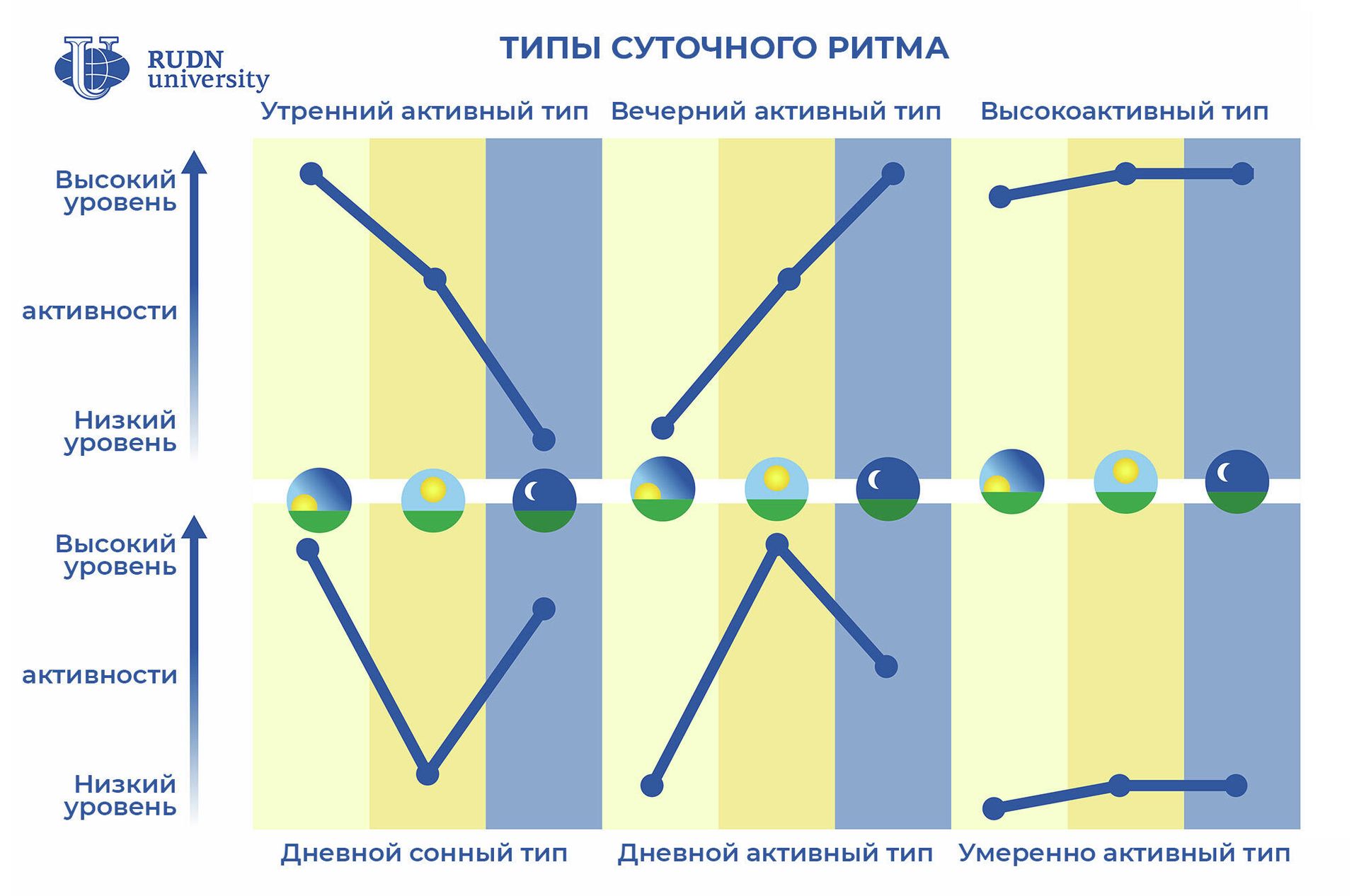 Типы суточного ритма Типы суточного ритма - РИА Новости, 1920, 28.12.2020