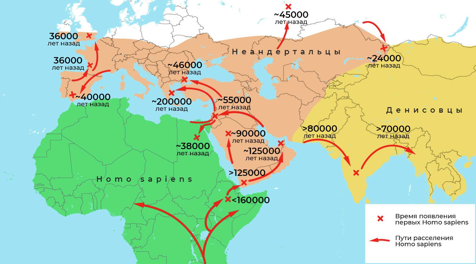 Пути расселения Homo sapiens за пределы Африки Пути расселения Homo sapiens за пределы Африки - РИА Новости, 1920, 04.10.2022