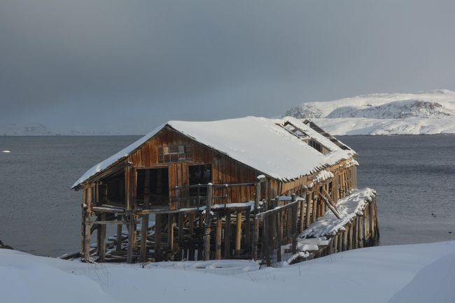Баренцево море. Териберка