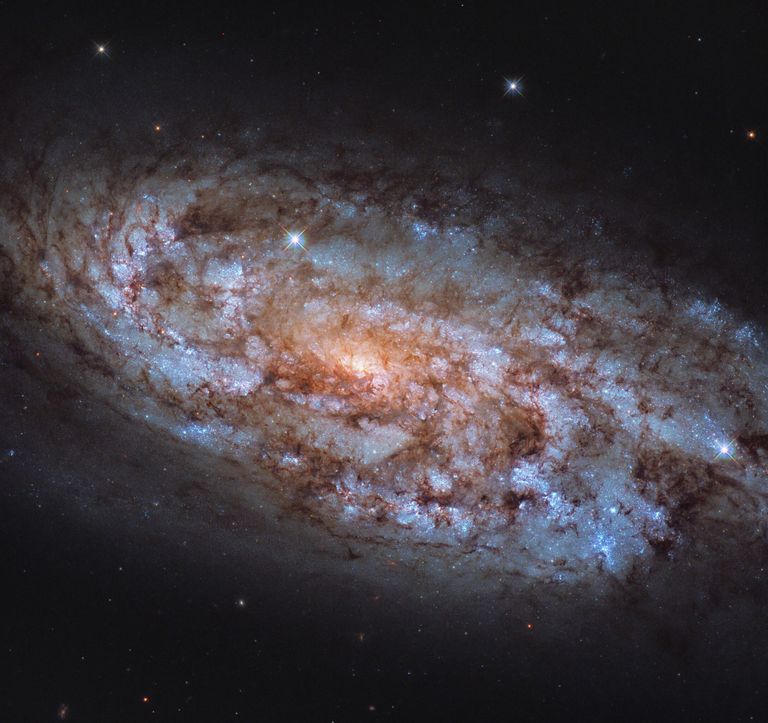 Галактика NGC 1792 в созвездии Голубь Галактика NGC 1792 в созвездии Голубь