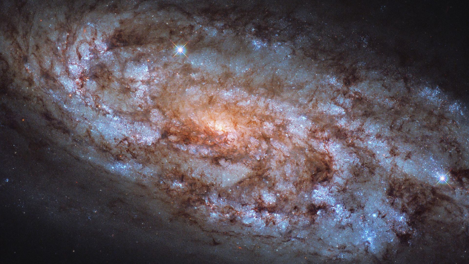 Галактика NGC 1792 в созвездии Голубь Галактика NGC 1792 в созвездии Голубь - РИА Новости, 1920, 25.12.2021