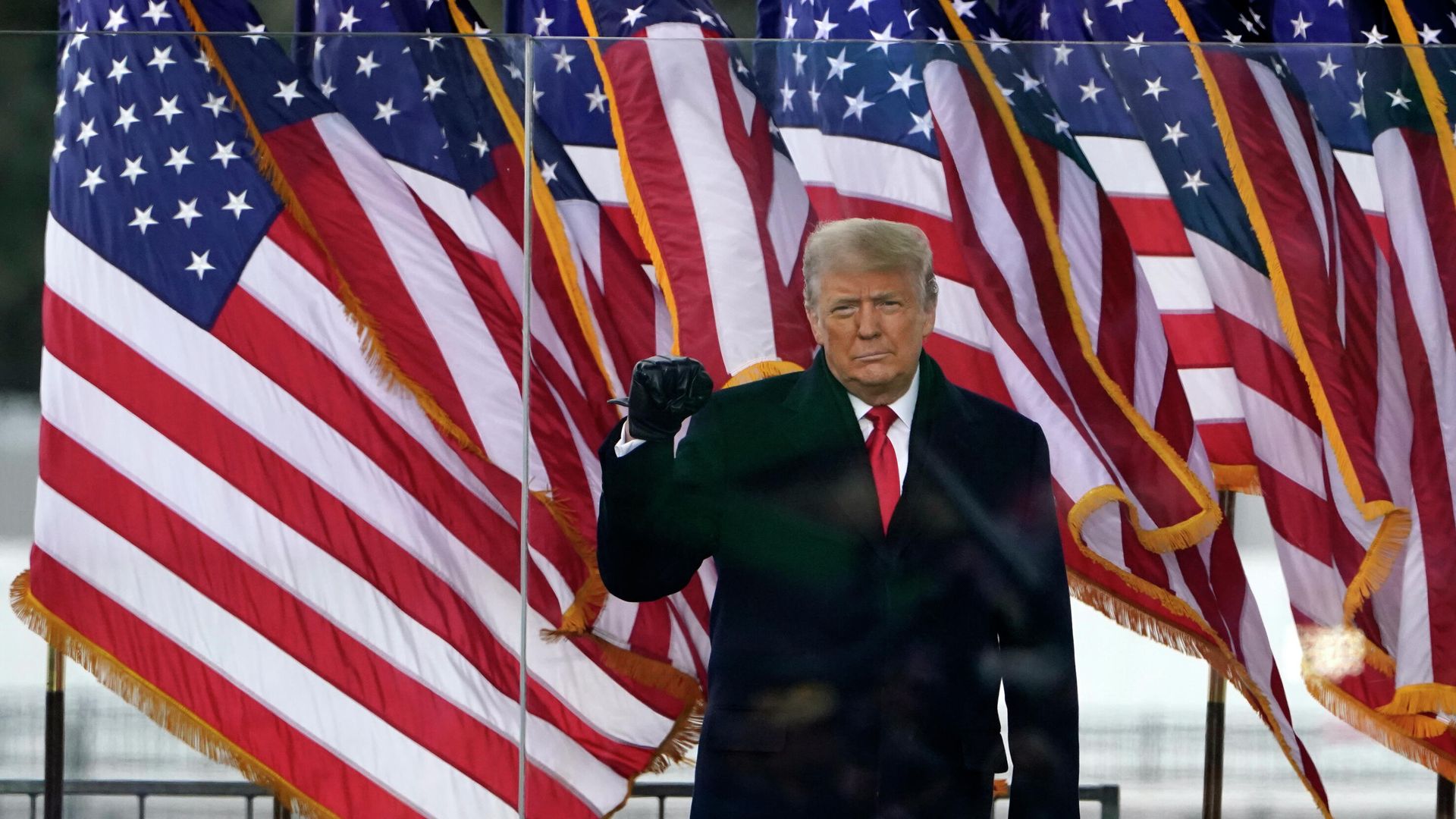 Президент Дональд Трамп выступает на митинге в Вашингтоне Президент Дональд Трамп выступает на митинге в Вашингтоне - РИА Новости, 1920, 13.01.2021