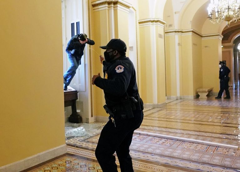 Протестующие в здании Капитолия Протестующие в здании Капитолия