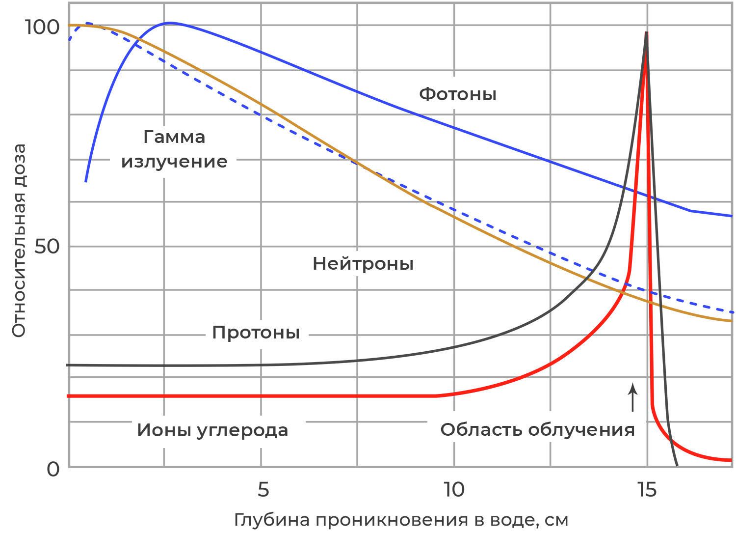 Пик Брэгга для разных видов излучения Пик Брэгга для разных видов излучения - РИА Новости, 1920, 03.02.2022