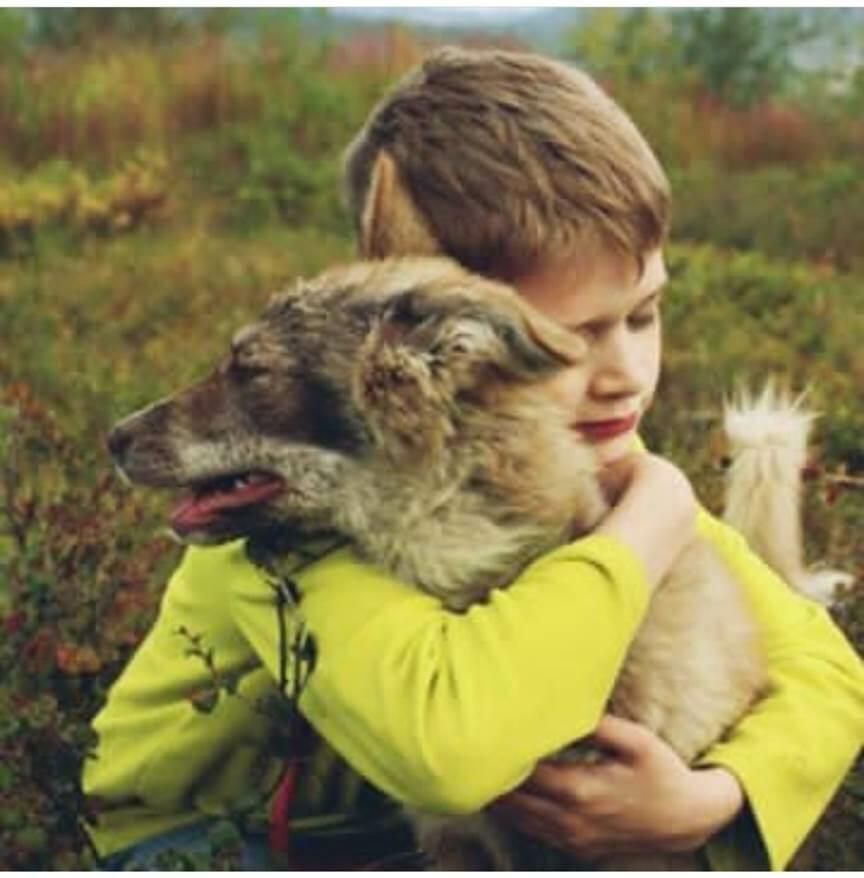 Самый маленький волонтер приюта для животных на Чукотке Максим и собака Зара Самый маленький волонтер приюта для животных на Чукотке Максим и собака Зара - РИА Новости, 1920, 21.01.2021