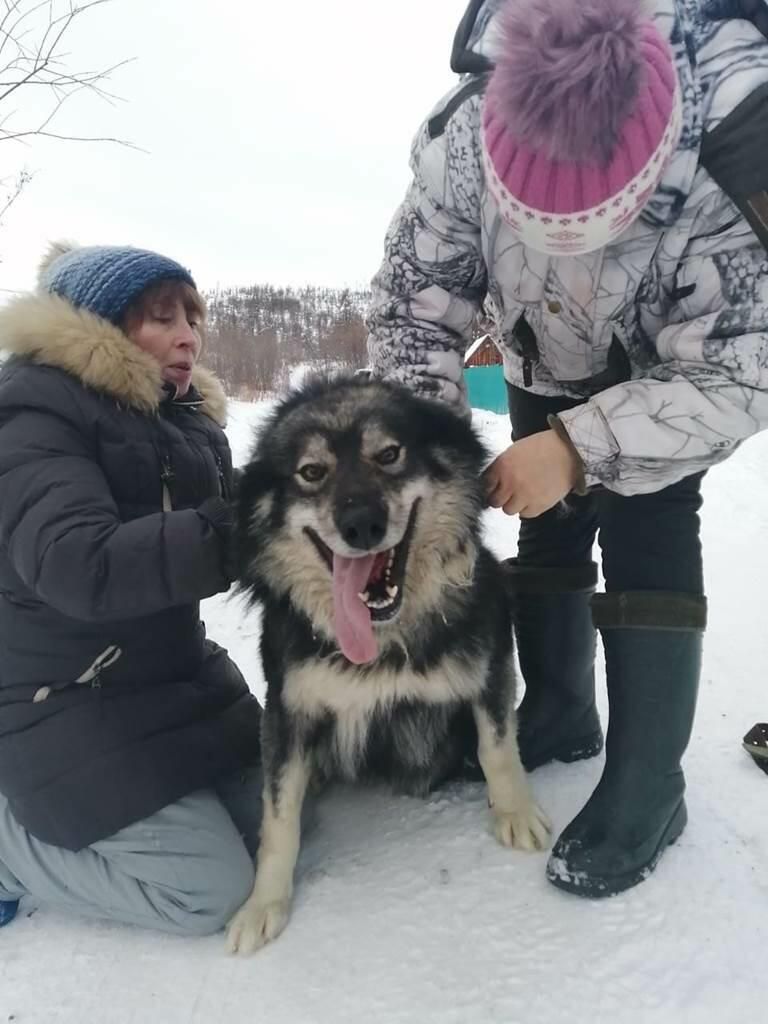 Волонтеры приюта для животных на Чукотке Марина, Света и собака Сережа Волонтеры приюта для животных на Чукотке Марина, Света и собака Сережа - РИА Новости, 1920, 21.01.2021