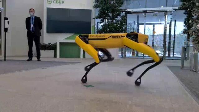Четвероногий друг в офисе: “Сбербанк” купил робота-собаку от Boston Dynamics Четвероногий друг в офисе: “Сбербанк” купил робота-собаку от Boston Dynamics - РИА Новости, 1920, 21.01.2021