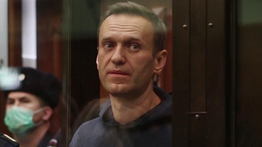 Алексей Навальный на заседании суда. Кадр видео Алексей Навальный на заседании суда. Кадр видео - РИА Новости, 1920, 31.05.2021
