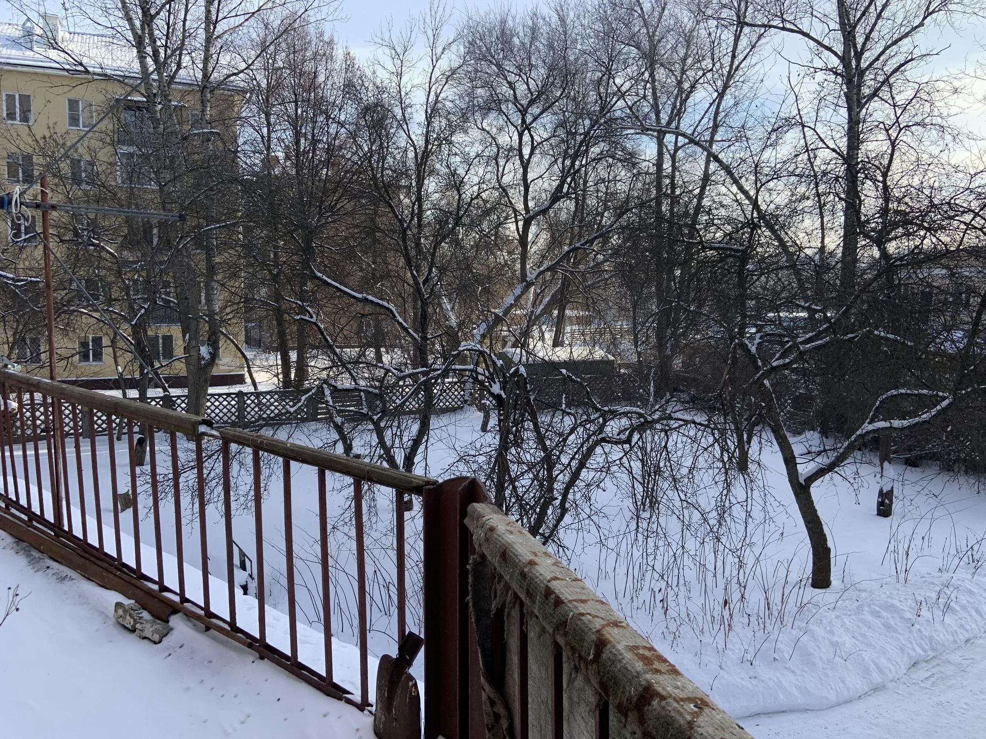 Вид с балкона Вид с балкона - РИА Новости, 1920, 04.02.2021
