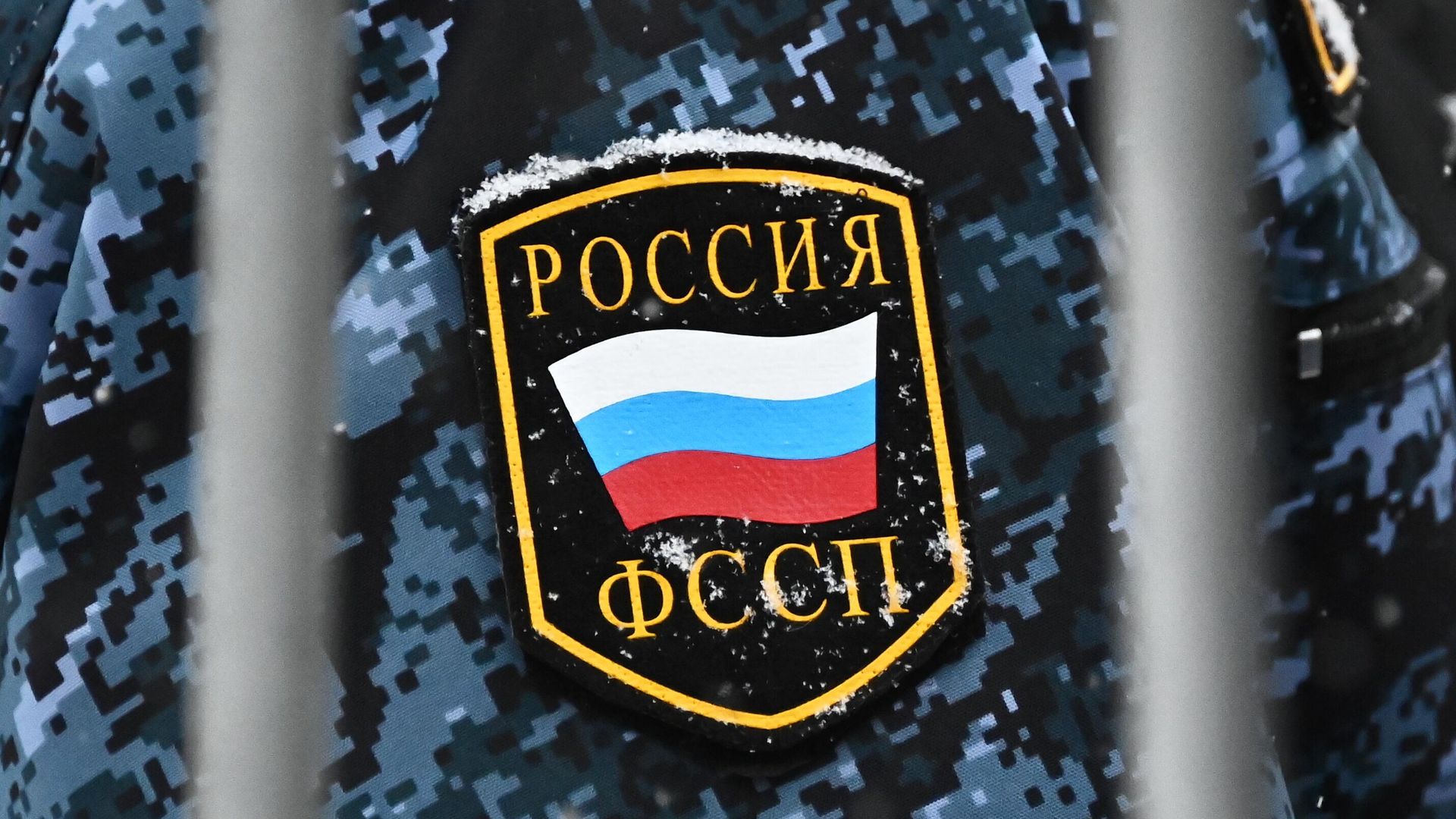 Сотрудник Федеральной службы судебных приставов Сотрудник Федеральной службы судебных приставов - РИА Новости, 1920, 23.01.2026