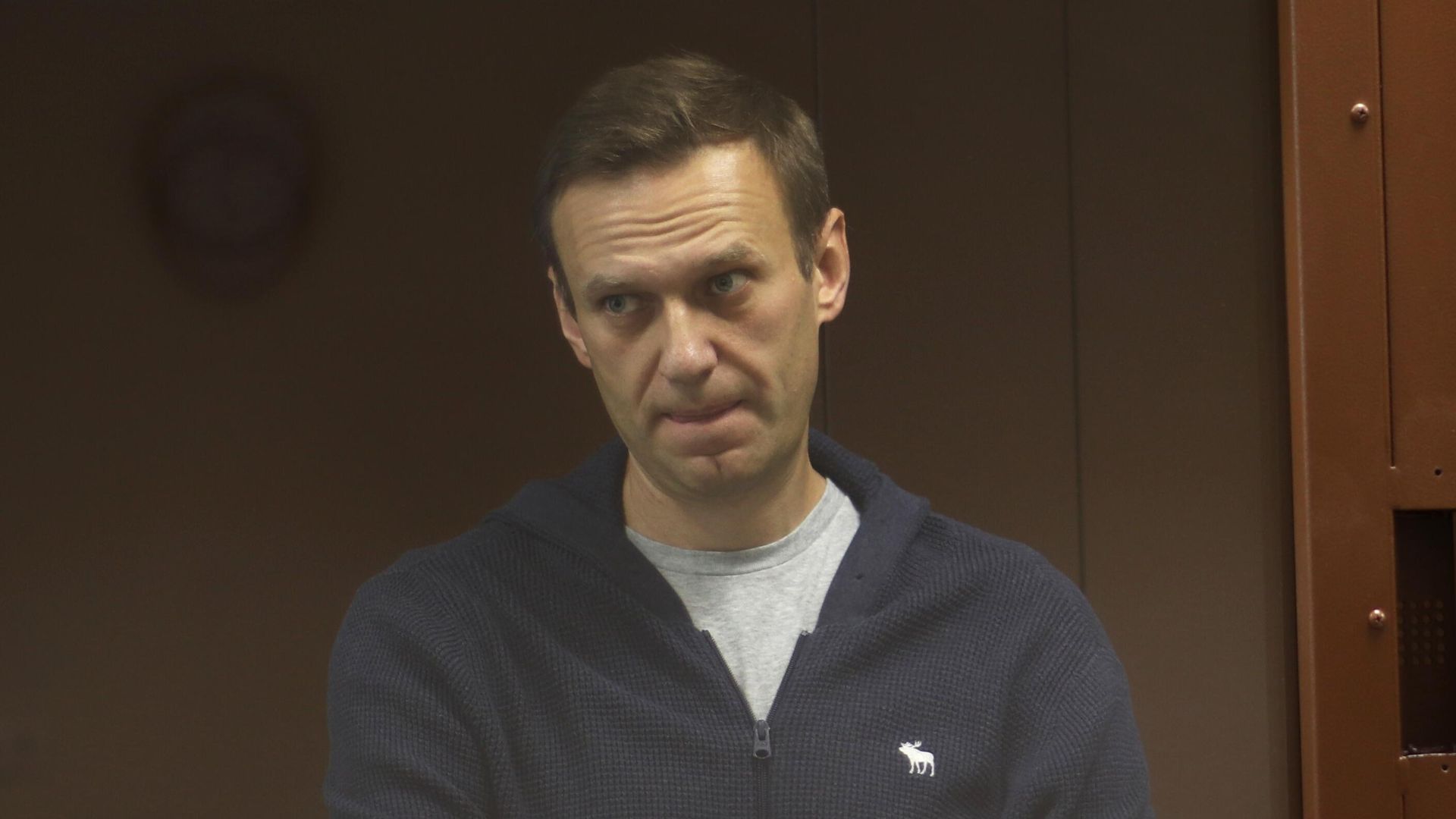 Алексей Навальный в зале Бабушкинского районного суда Алексей Навальный в зале Бабушкинского районного суда - РИА Новости, 1920, 18.02.2021