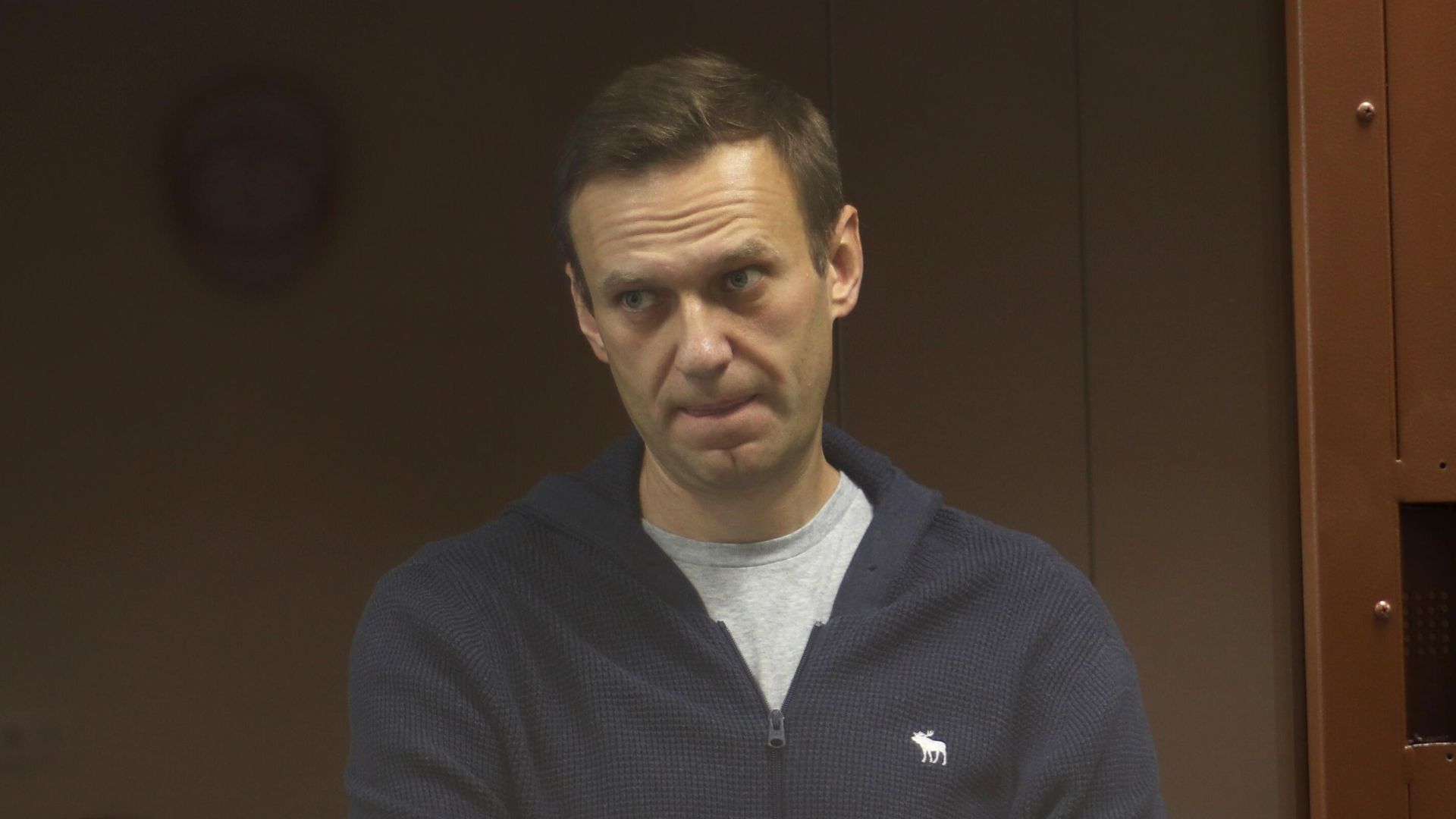 Алексей Навальный в зале Бабушкинского районного суда Алексей Навальный в зале Бабушкинского районного суда - РИА Новости, 1920, 18.02.2021