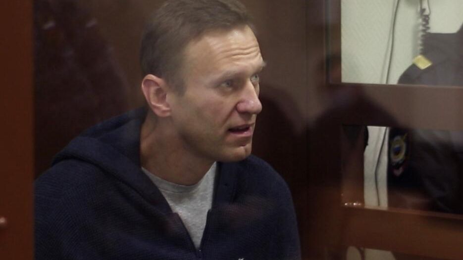 Алексей Навальный в зале Бабушкинского районного суда, где идет заседание по делу о клевете в отношении ветерана Великой Отечественной войны Игната Артеменко. Стоп-кадр видео - РИА Новости, 1920, 15.02.2021