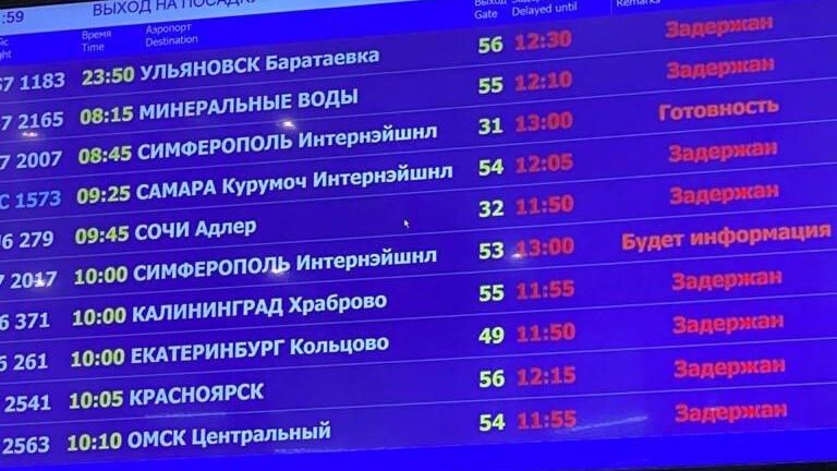 В Домодедово объяснили задержку рейсов В Домодедово объяснили задержку рейсов - РИА Новости, 1920, 13.02.2021