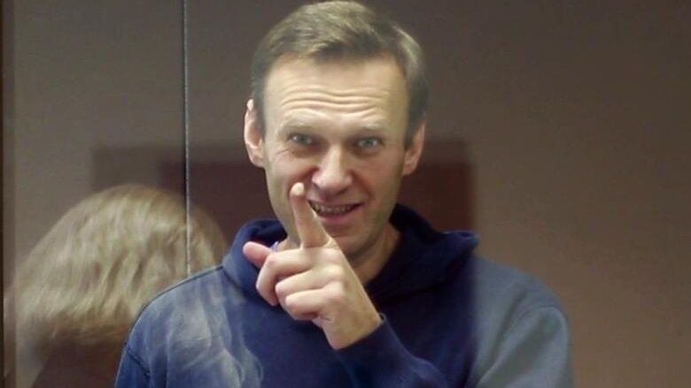 Алексей Навальный в зале Бабушкинского районного суда Алексей Навальный в зале Бабушкинского районного суда - РИА Новости, 1920, 16.02.2021