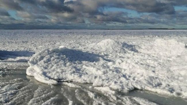 Замерзшее Балтийское море в Калининградской области Замерзшее Балтийское море в Калининградской области