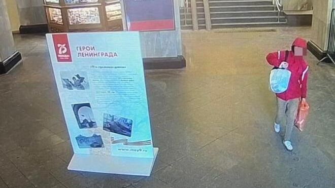 Подозреваемый в краже на Московском вокзале в Санкт-Петербурге. Кадр записи камеры видеонаблюдения Подозреваемый в краже на Московском вокзале в Санкт-Петербурге. Кадр записи камеры видеонаблюдения - РИА Новости, 1920, 19.02.2021