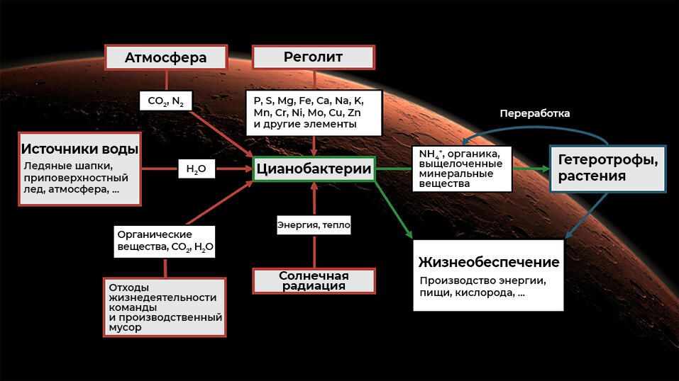 Системы жизнеобеспечения на основе цианобактерий на Марсе Системы жизнеобеспечения на основе цианобактерий на Марсе - РИА Новости, 1920, 02.03.2021