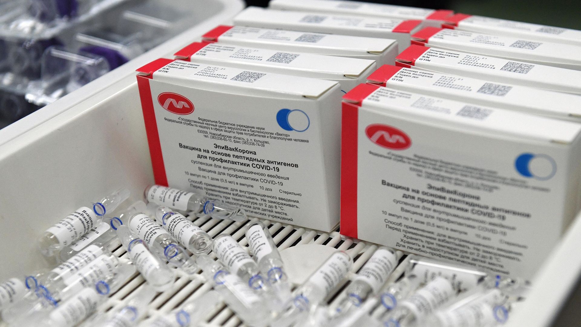 Упаковка инъекционных препаратов шприц-доза вакцины ЭпиВакКорона для профилактики COVID-19 - РИА Новости, 1920, 01.04.2021