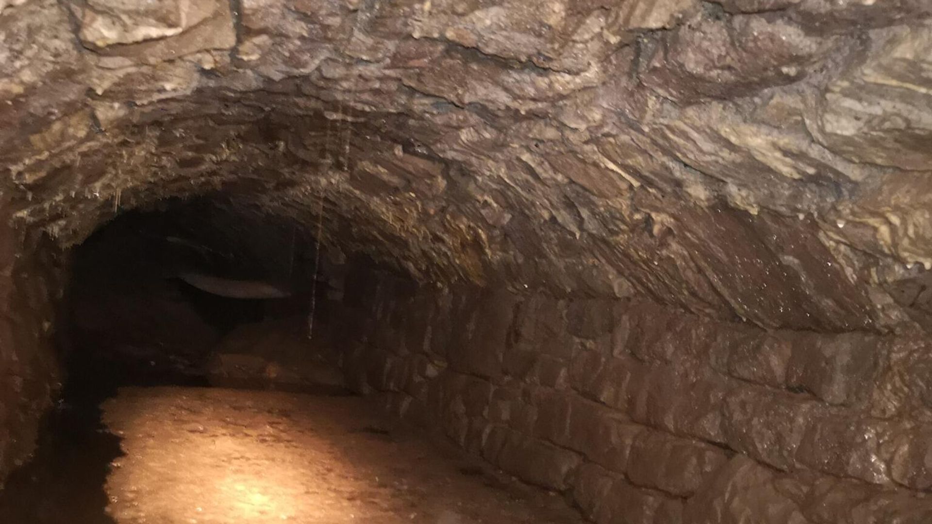 Туннель возрастом около 900 лет, обнаруженный во время электромонтажных работ в деревенской общине Тинтерн в графстве Монмутшир в Уэльсе Туннель возрастом около 900 лет, обнаруженный во время электромонтажных работ в деревенской общине Тинтерн в графстве Монмутшир в Уэльсе - РИА Новости, 1920, 10.03.2021