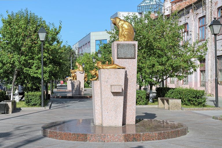 Сквер сибирских кошек в Тюмени Сквер сибирских кошек в Тюмени