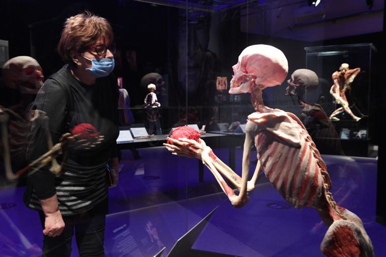 Выставка Body Worlds. Мир тела в Москве Выставка Body Worlds. Мир тела в Москве